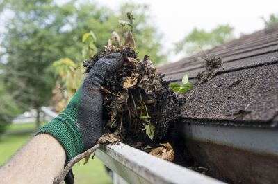Business Gutter Cleaning in Roseville, CA