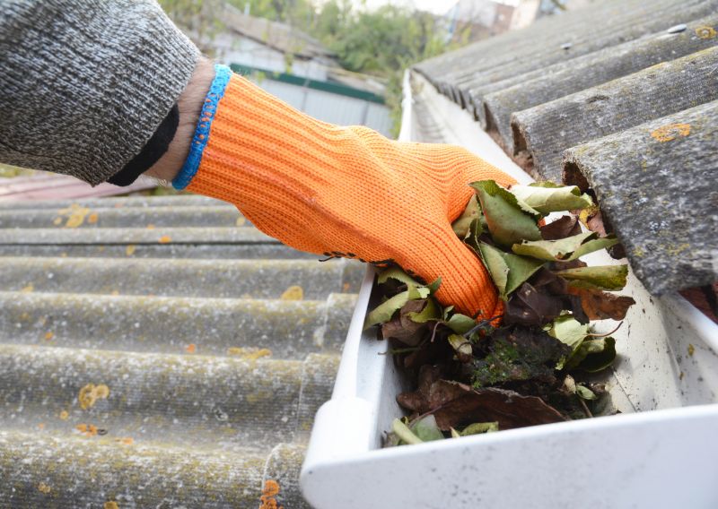 Commercial Gutter Maintenance in Roseville, CA