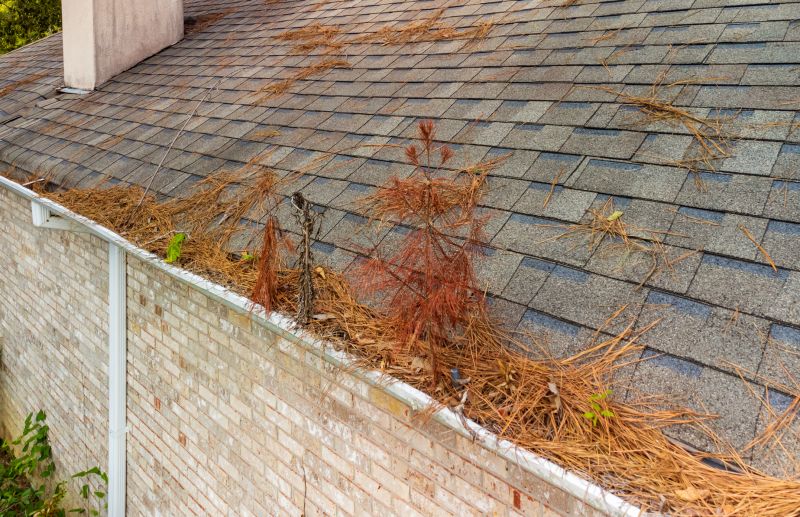 Gutter Pine Needle Removal in Annapolis, MD