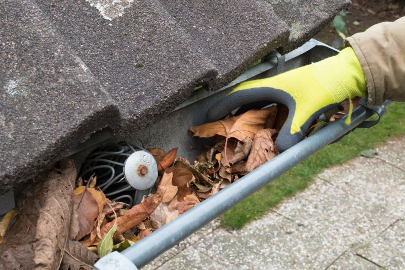 Commercial Gutter Maintenance in Roseville, CA