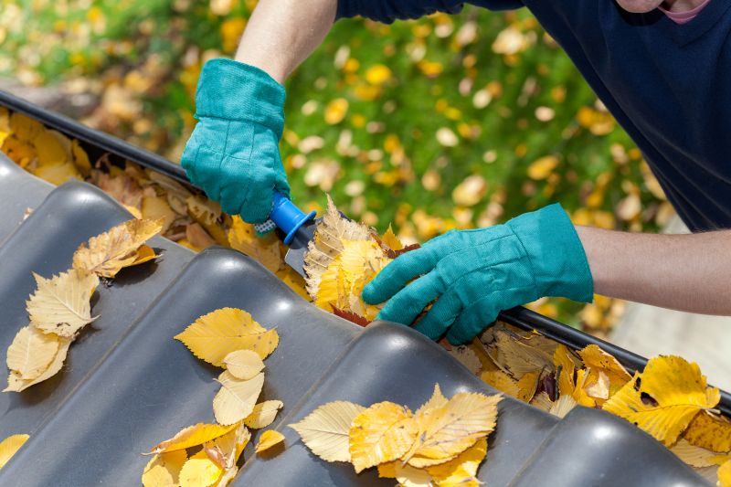 Commercial Gutter Maintenance in Mcdonough, GA