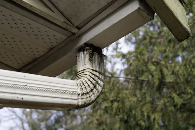 Downspout Clearing