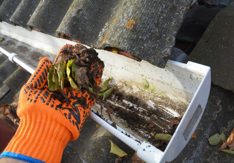 Gutter Cleaning in Bergen County, NJ