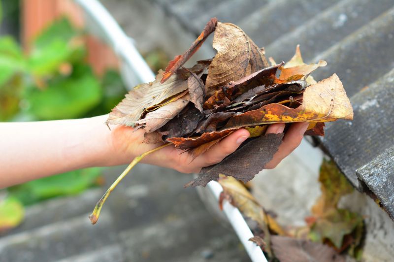 Gutter Leaf Clearing in Pittsburgh, PA