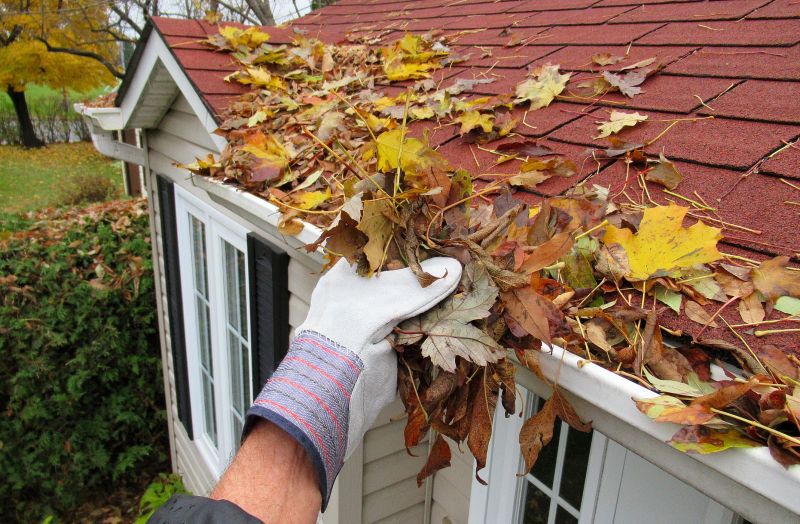 Gutter Leaves Removal in Fredericksburg, VA