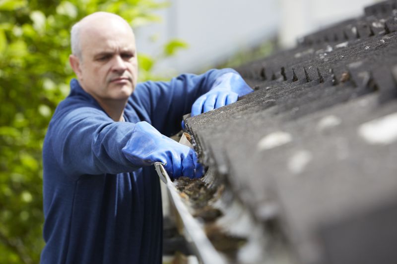 Roof Gutter Cleaning in Longmont, CO