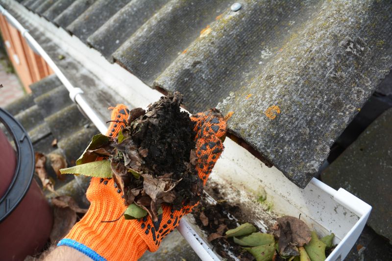 Stopped Gutter Cleaning