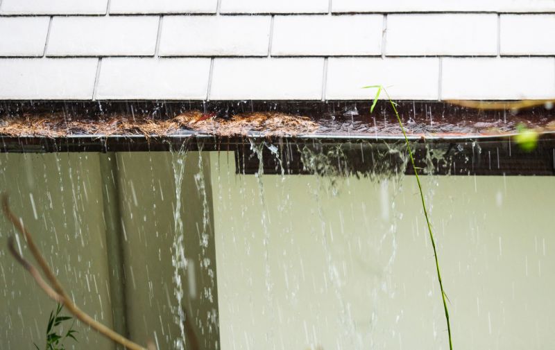 Signs of Gutter Stoppage