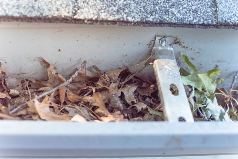 Clogged Gutter with Debris