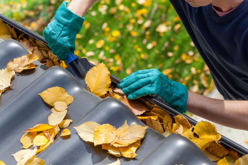 Gutter Cleaning in Fall