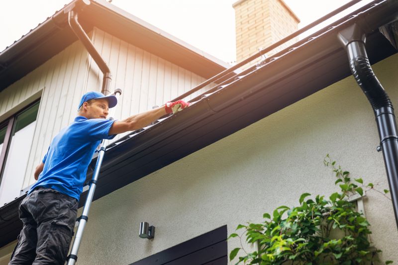 Year-Round Gutter Care